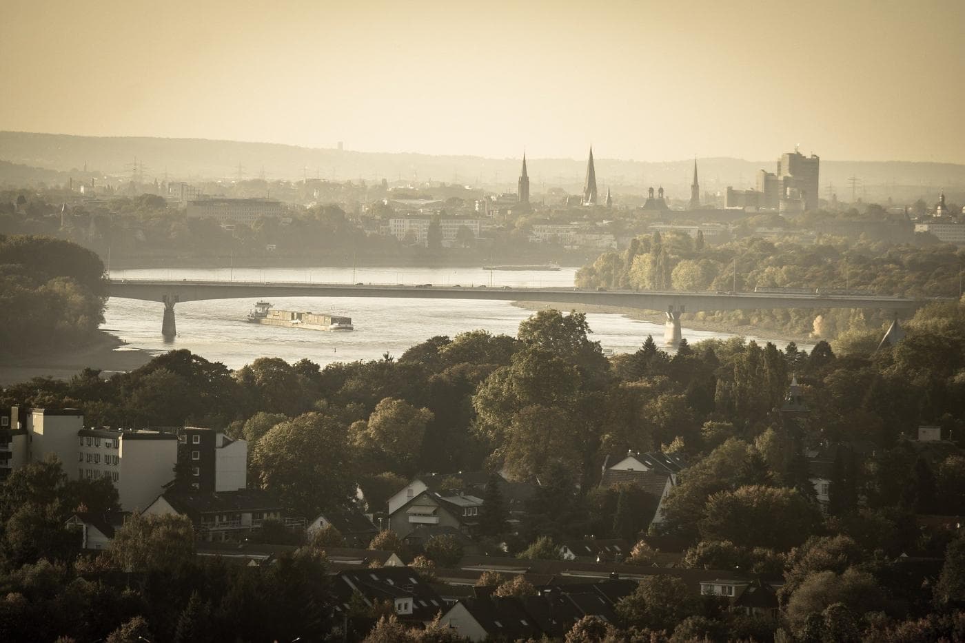 bonn-983316_1920.jpg