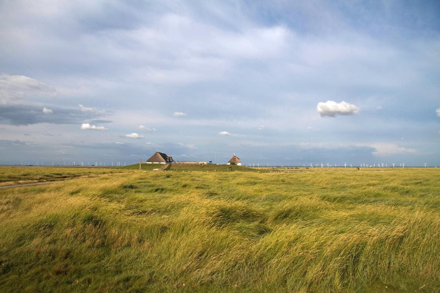 hamburger-hallig-1519107_1920.jpg