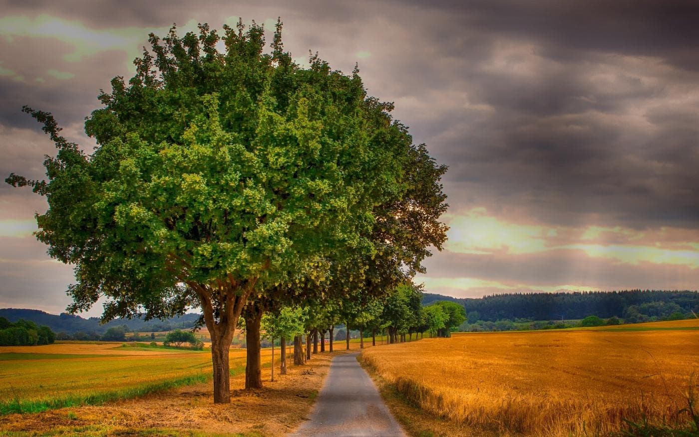 landscape-3521472_1920.jpg