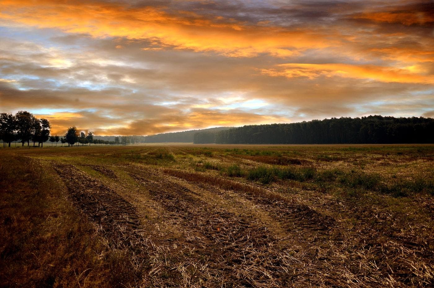 landscape-3616767_1920.jpg