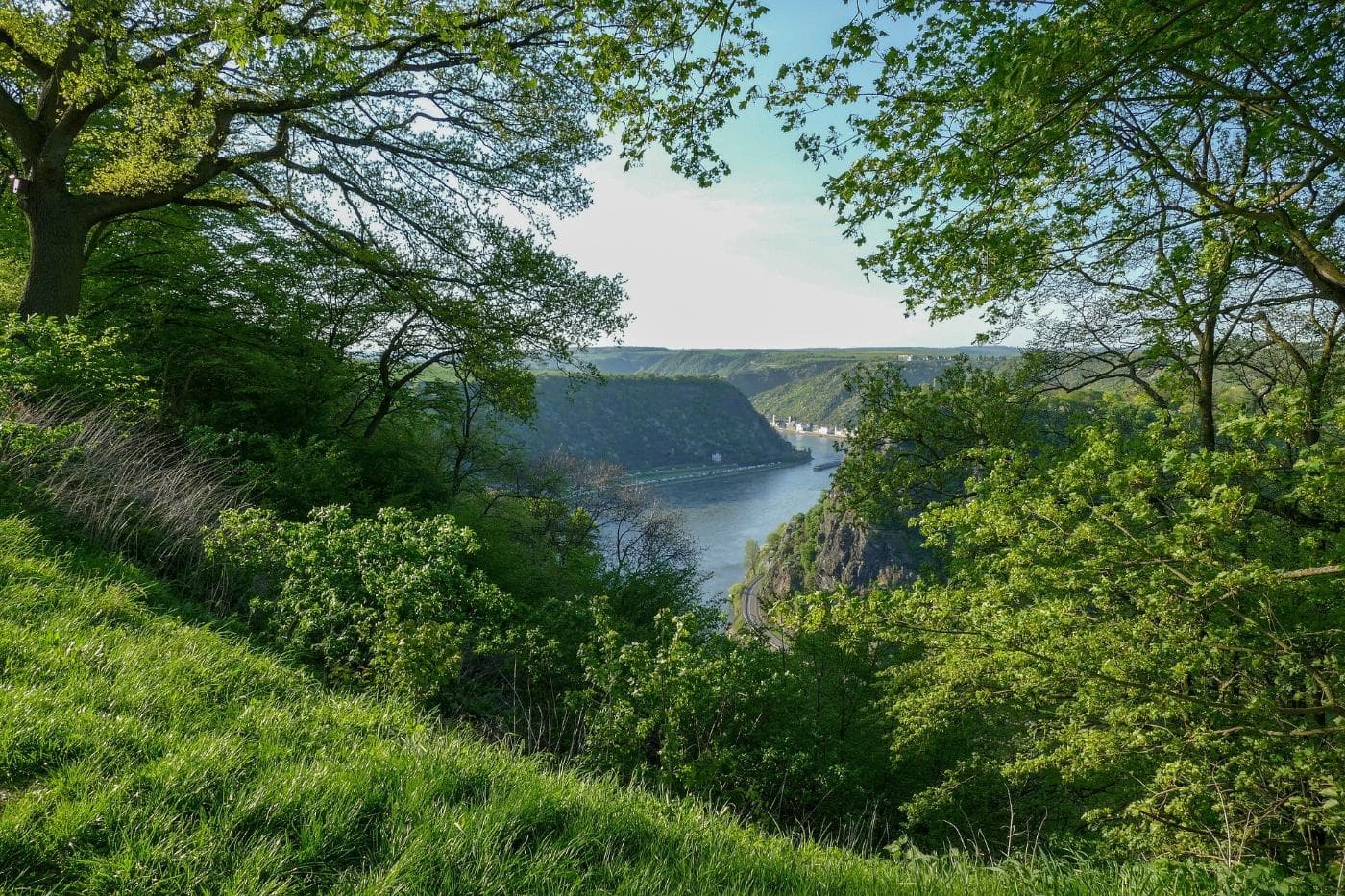 loreley-view-urbar-3334611_1920.jpg