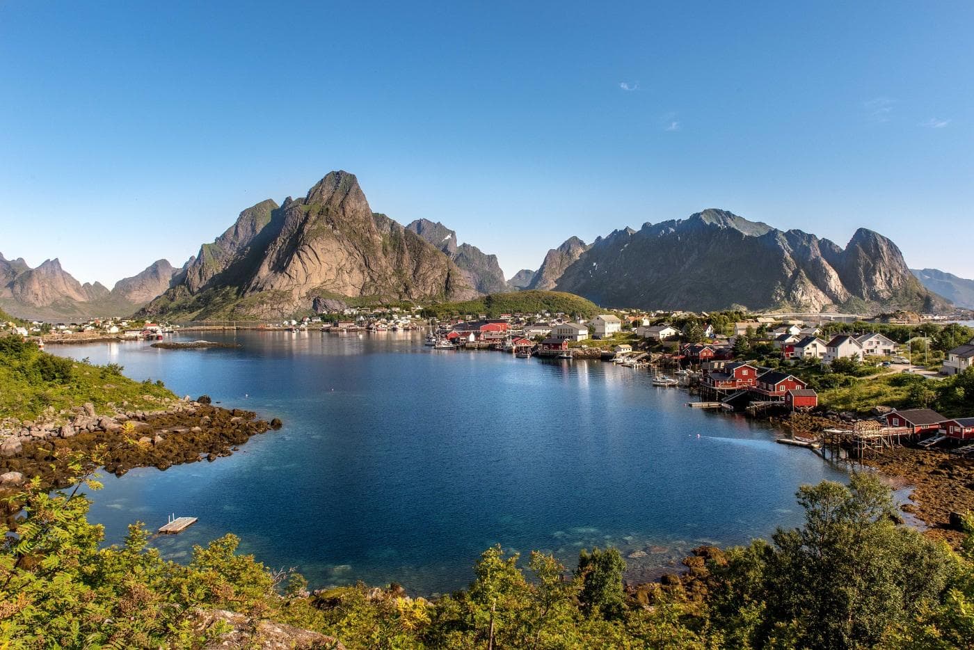 reine-2930101_1920.jpg